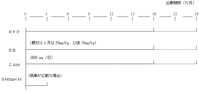 図１：MACの化学療法をあらわす図