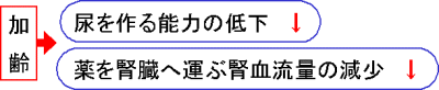 図2：加齢に伴う薬の排泄能力の低下を示す図。加齢に伴い、尿を作る能力が低下するとともに、薬を腎臓へ運ぶ腎血流量が減少する。