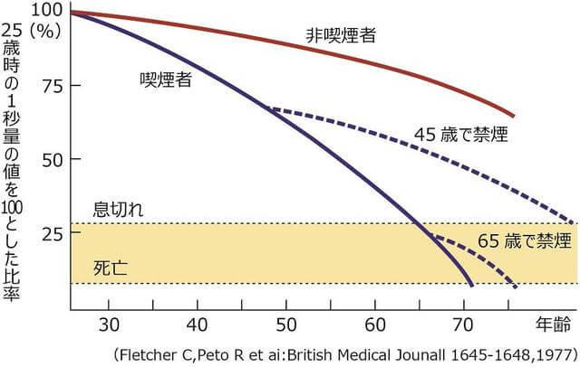 グラフ：喫煙者の肺機能低下と禁煙の効果を示すグラフ。喫煙者と非喫煙者の肺機能の低下推移を示す曲線グラフ。禁煙すると肺機能の低下を抑制することができることを示している。