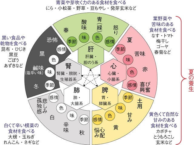 図：五臓別のこころの不調と治し方を表す図。