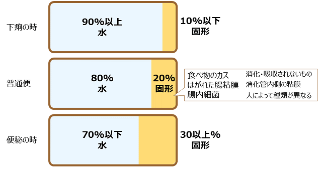 図1：便の成分を解説する図。便の成分の80%程度が水分であることを示す。