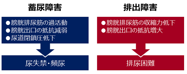 図1：排尿障害と排出障害の違いを示す図。