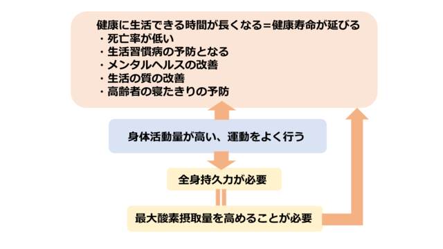 図1：最大酸素摂取量と健康の関連を示す図。最大酸素摂取量を高めることは健康長寿延伸につながる