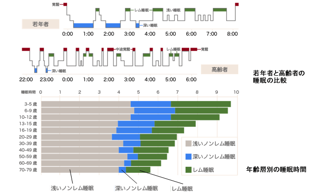 図1：若年者と高齢者の睡眠の特徴の比較を示すグラフを含む図。高齢者は深い眠りのノンレム睡眠の時間が年を重ねるごとに減り、全体的に浅い眠りとなることをあらわす