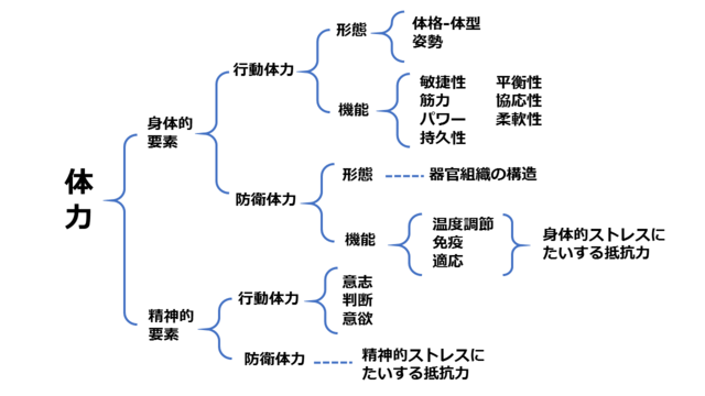 図1：体力の構成を示す図。体力には身体面・精神面の両方が含まれることを示す。