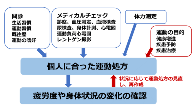 図1：運動処方の手順を示す図。運動処方を行う前に、生活習慣や運動習慣、既往歴などについての問診と、メディカルチェック、体力測定を実施します