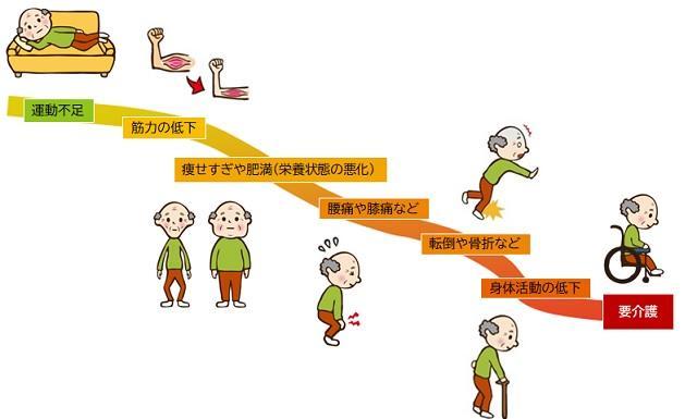 図1：フレイルの進行の過程を表す図。