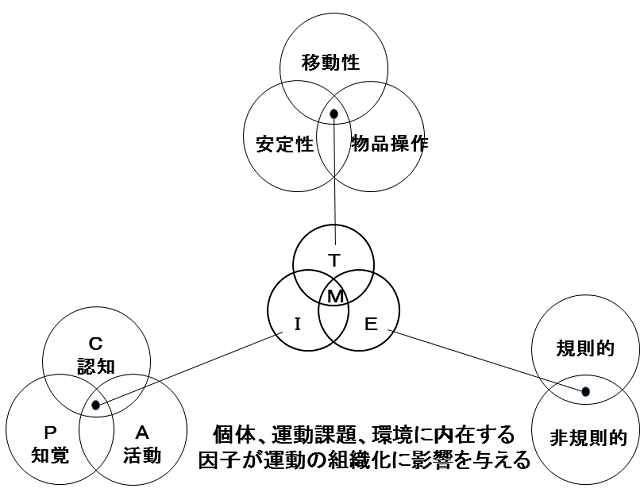 図2：個体・運動課題・環境に内在する因子が運動の組織化に影響を与えることを示す。