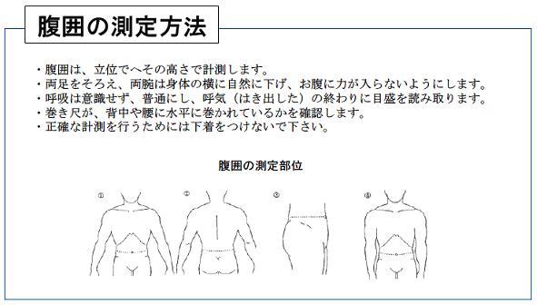 腹囲の測定方法をしめす図。