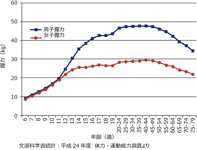 グラフ2：年齢別・性別の握力の推移を示す折れ線グラフ。平成24年度文部科学省統計の体力・運動能力調査より引用。