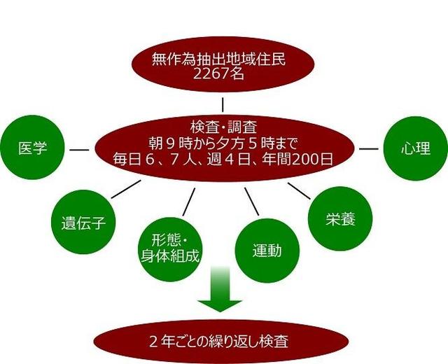 図：NILS-LSAの検査概要を示すフローチャート。NILS－LSAは約2,400名の無作為抽出された40歳から79歳までの地域に住む人たちを対象に2年に一度ずつ、毎日7名の検査を朝9時から夕方5時まで年間を通して調査を行う。調査は医学・遺伝子・身体組成・運動・栄養・心理などの包括的な内容。