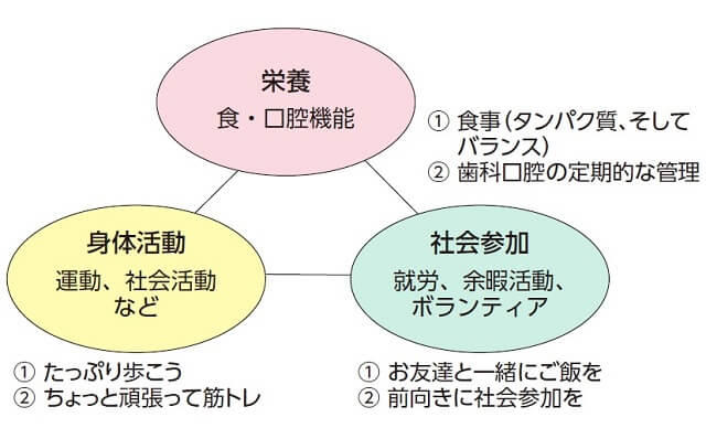 図1-A、フレイル予防のための「3つの柱」の図。フレイル予防のためには、「栄養（食、口腔機能）」「身体活動（運動、社会活動）」「社会参加（就労、余暇活動、ボランティア）」の3つの要素が鍵となる。