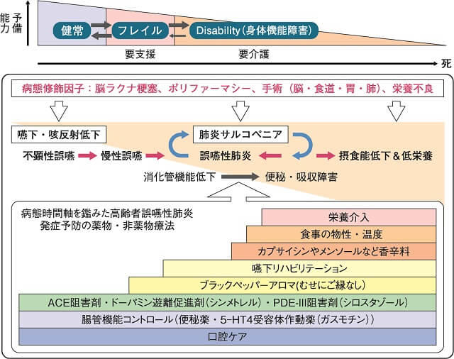 図1：病態時間軸に沿った高齢者誤嚥性肺炎発症予防の薬物療法と非薬物療法の関連を示す図。