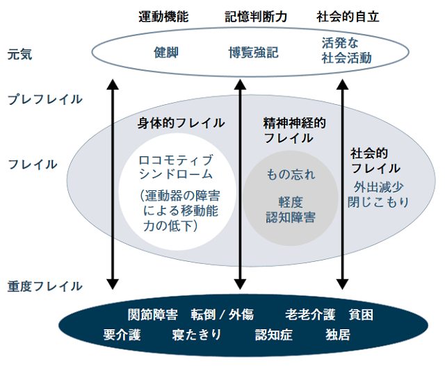 図1：運動器疾患とフレイル・ロコモティブシンドロームとの関係を表す図