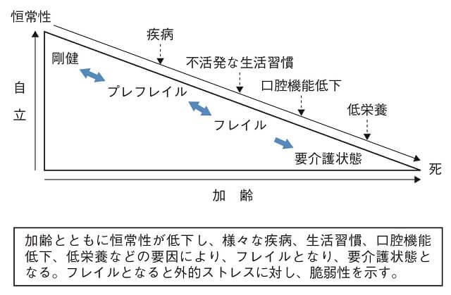 図1：フレイルと加齢との関係を示す図。加齢とともに恒常性が低下し様々な疾病などの要因によりフレイルとなり要介護状態となる様子を表す。