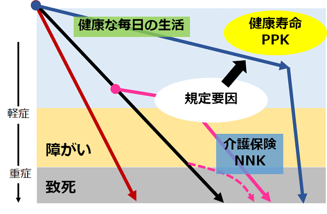 図1：ネンネンコロリとピンピンコロリの軽傷・障害・致死の時間の違いを示す図。