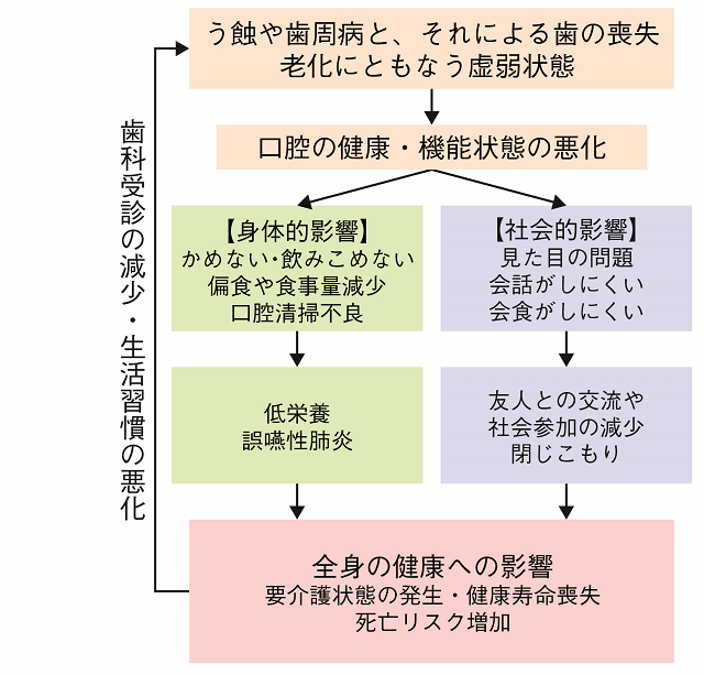 図1：オーラルヘルスの健康面からの重要性について示された概念図。