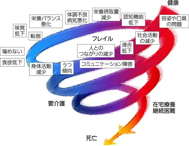 図1、オーラルフレイルとフレイルの関係を表す図。