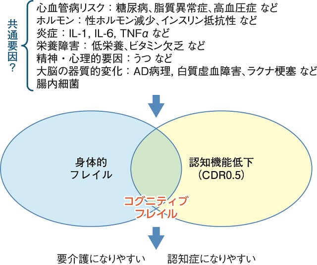 図2：コグニティブフレイルの共通要因を表す図。