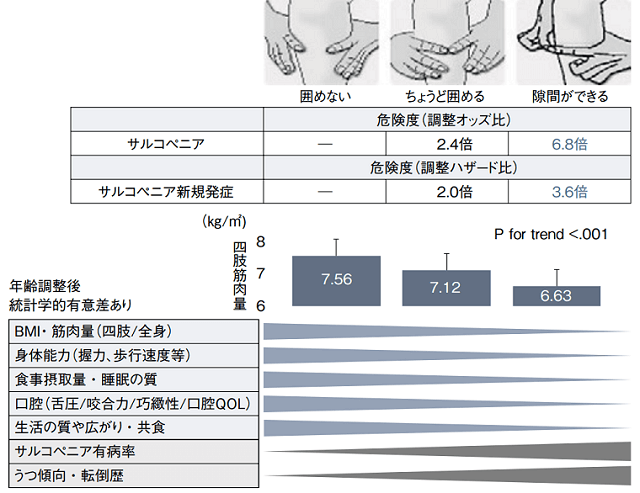 図2：「指輪っかテスト」によるフレイルの簡易スクリーニングを示す図。両手の人差し指と親指で自身の下腿周囲の最大部分を囲ってみて「囲めない」「ちょうど囲める」「隙間ができる」でサルコペニア評価する。隙間ができるの場合サルコペニアの危険度が高い。