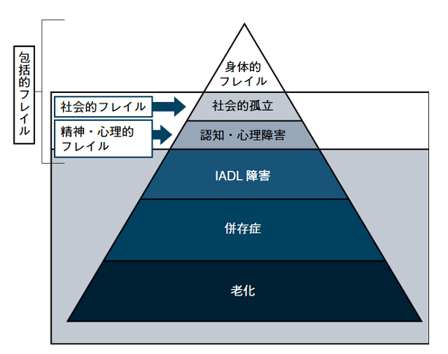 身体的フレイルと包括的フレイルとその背景を表した図