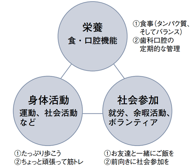 図4A:健康長寿になるための3つの柱をあらわす図。1．栄養、2．身体活動、3．社会参加の3つ柱を包括的に底上げすることで早い時期からサルコペニア・フレイル予防につながる。