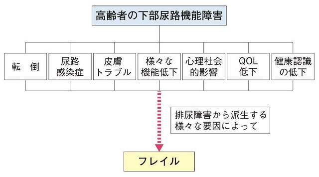 図4：フレイルと下部尿路機能障害との相互関係を示す図。