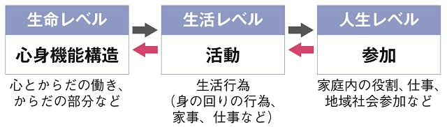 機能的健康の3つのドメインを説明する図。機能的健康度とは、心身機能、生活機能、社会機能の3ドメインにおける機能の高低をさす