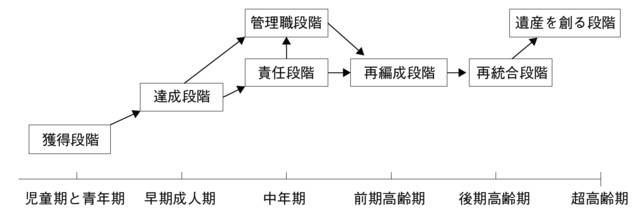 図4：成人の知能発達の段階を示すフローチャート