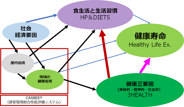 健康長寿を規定する社会経済要因と生活習慣と健康三要因の因果構造を示す図