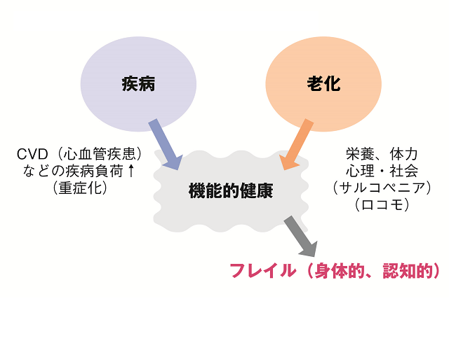 図5：機能的健康に影響を与える二大要因は、中年期以降次第に増えかつ重症化してくる疾病と、75歳以降顕著になってくる心身機能の加齢変化であることを説明する図