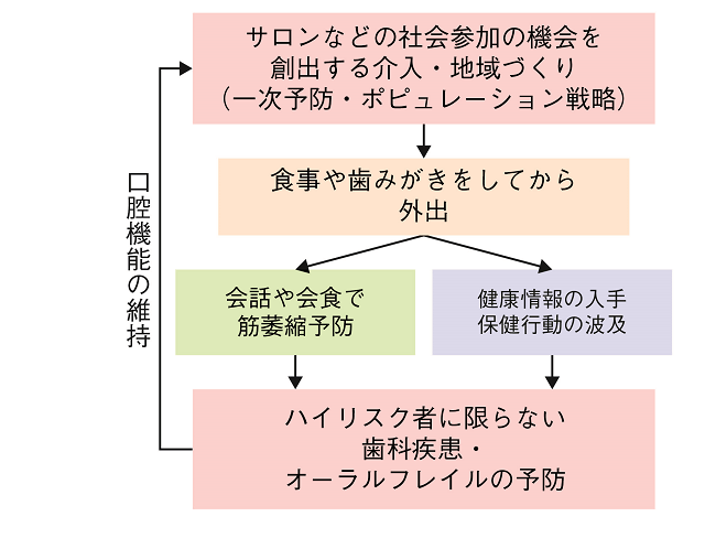 図5：サロン・社会参加介入の口腔の健康増進への可能性を示す図。