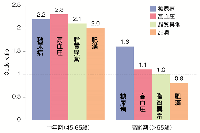 図2：中年期（45歳から65歳）と高齢期（65歳以上）での糖尿病、高血圧、脂質異常、肥満と認知症の発症リスク割合を表した棒グラフ。