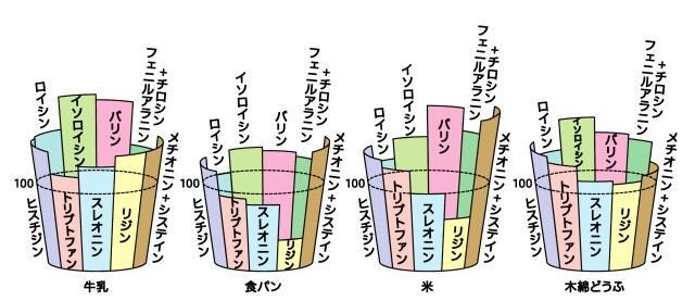 図、必須アミノ酸の桶を表した図