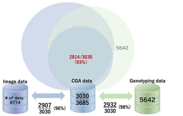 CGAデータ3030例の内訳を表した図
